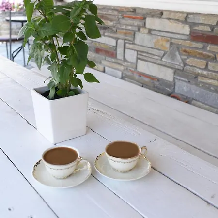 Apartament Cozycool Neos Marmaras